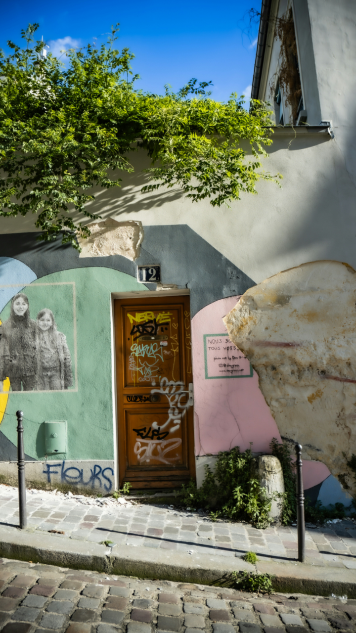 Wooden door with graffiti surrounded by a colorful mural and greenery on a cobblestone street in Paris.