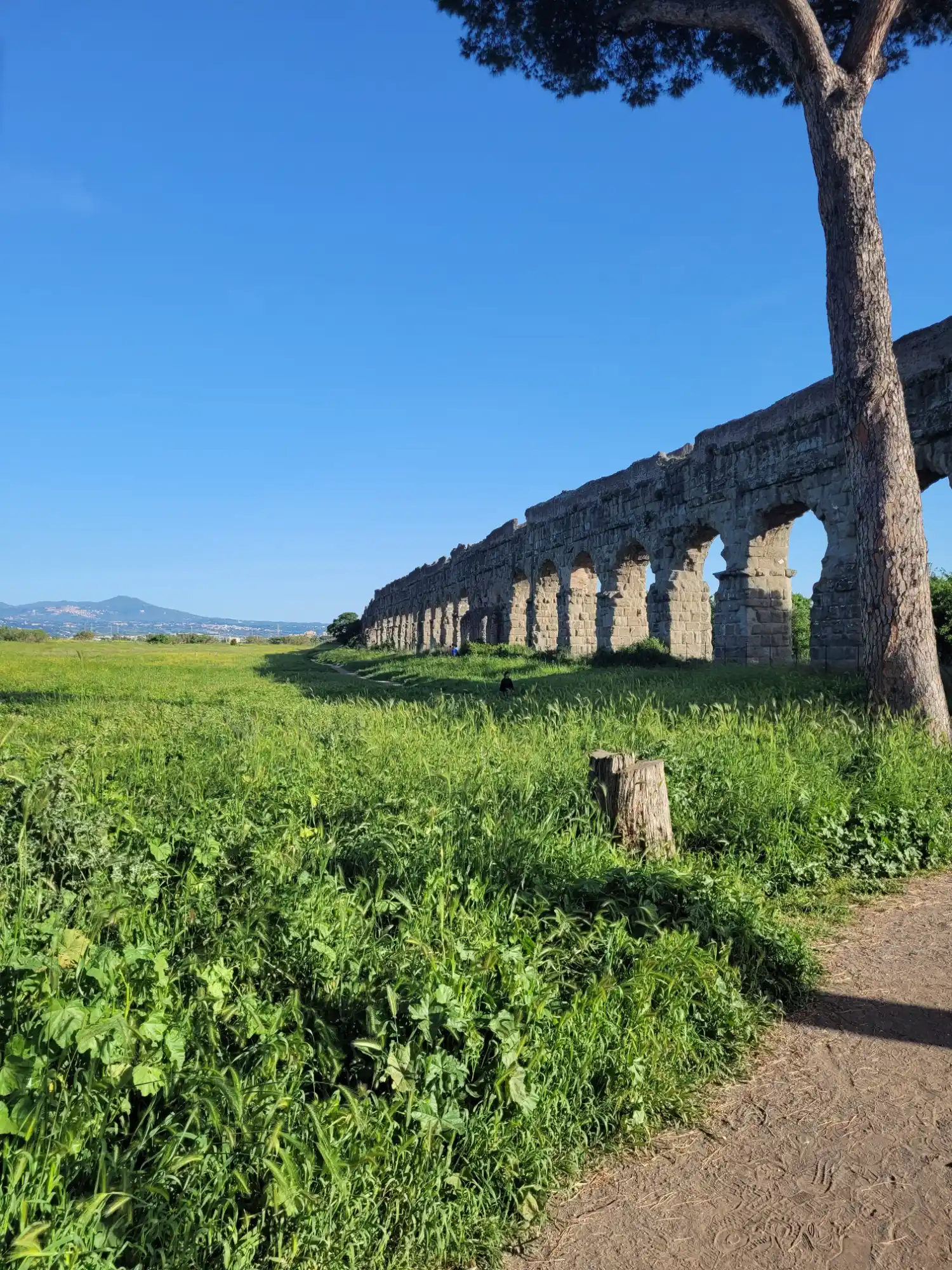 Ancient stone arches of the Aqua Claudia stretching across a green field in Rome's Aqueduct Park under a clear blue sky.