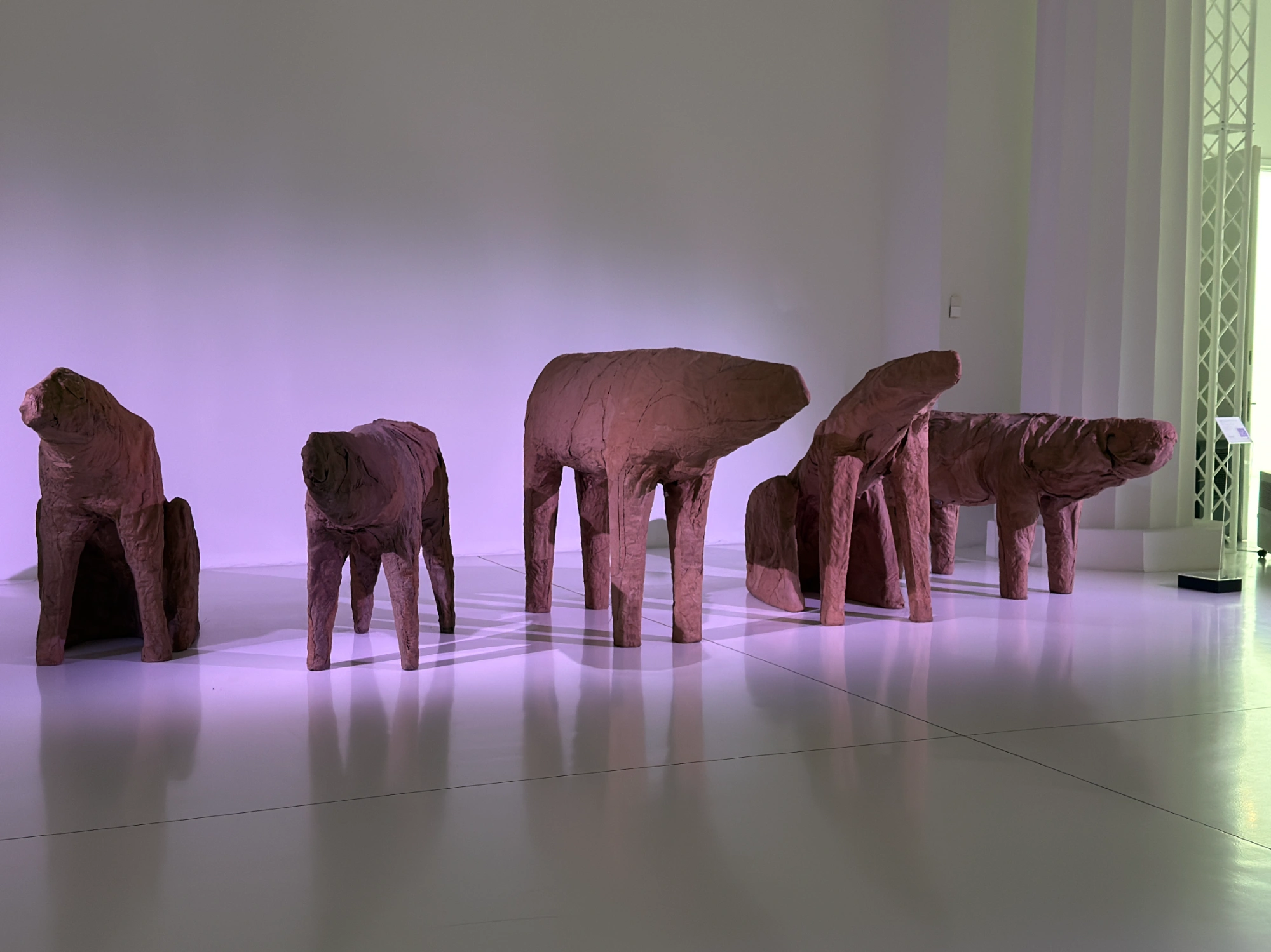 Five brown, abstract animal-like sculptures stand on a reflective white floor in a brightly lit gallery space with purple ...