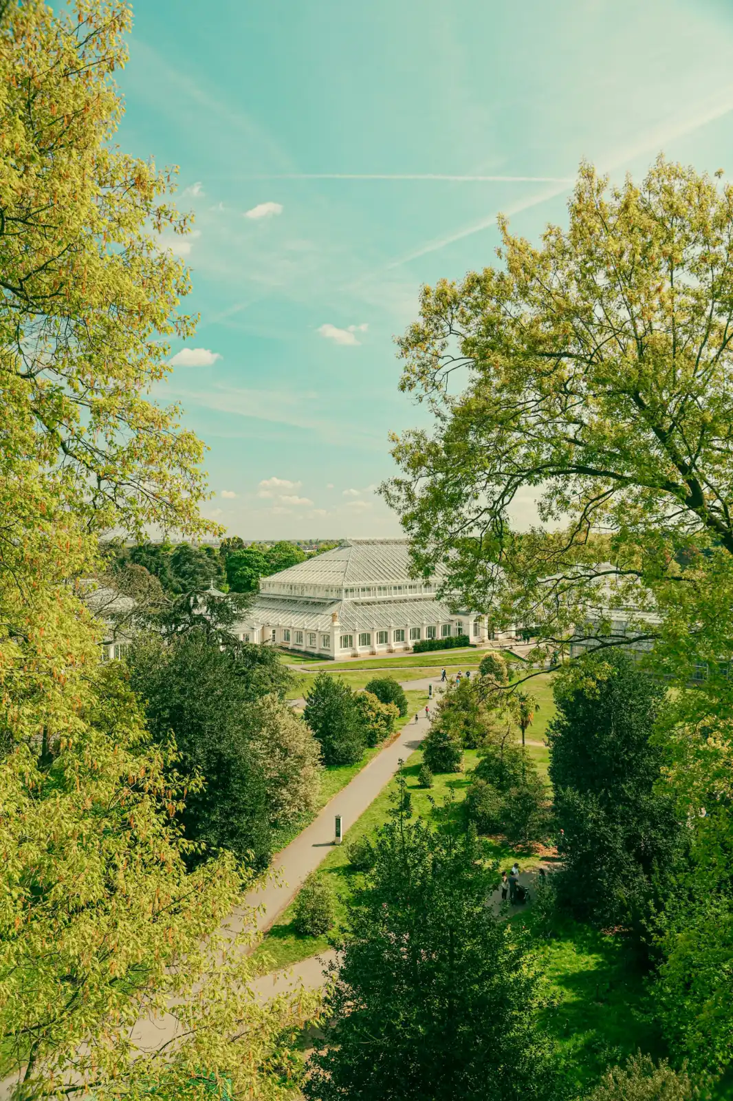 A large, white-framed Victorian glasshouse surrounded by lush green trees and pathways at Kew Gardens.