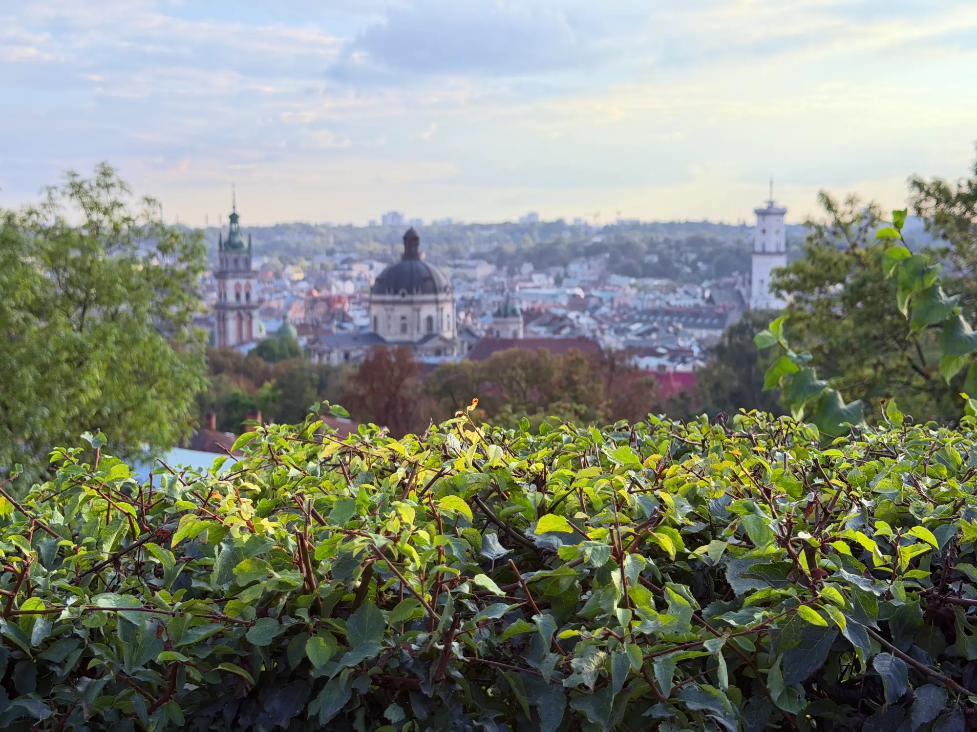 View over the rooftops of Lviv's Old Town from a high vantage point, with church towers and domes in the distance.