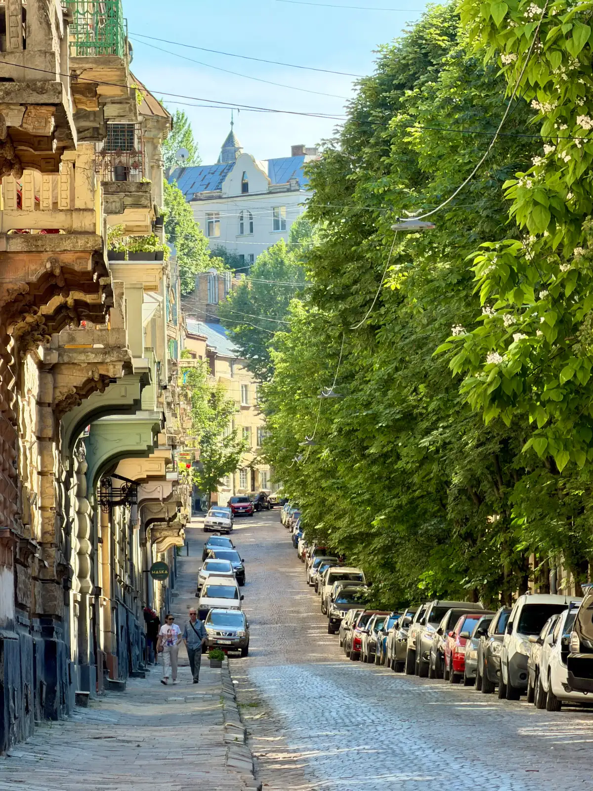 A cobblestone street in Lviv lined with cars and green trees, sloping uphill on a sunny day.